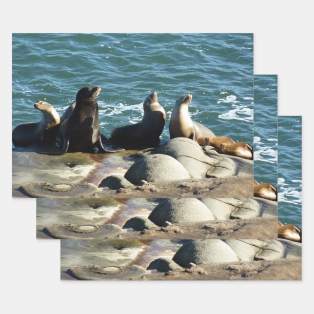 San Diego Sea Lions Wrapping Paper Sheets (Set)