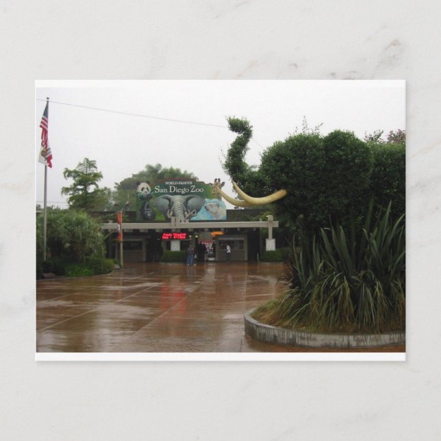 San Diego Zoo Postcard (Front)