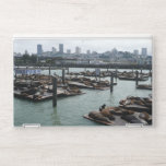 San Francisco and Pier 39 HP Laptop Skin