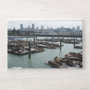 San Francisco and Pier 39 HP Laptop Skin