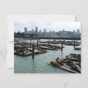 San Francisco and Pier 39 Sea Lions City Skyline