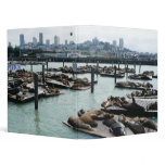 San Francisco and Pier 39 Sea Lions City Skyline 3 Ring Binder