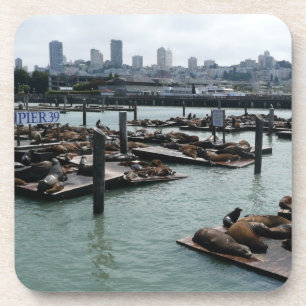 San Francisco and Pier 39 Sea Lions City Skyline Beverage Coaster