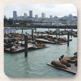 San Francisco and Pier 39 Sea Lions City Skyline Beverage Coaster