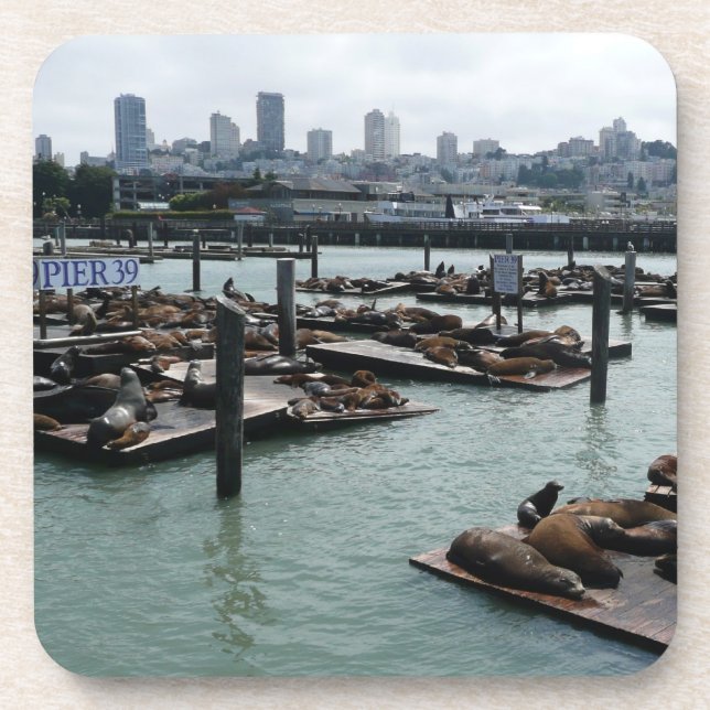 San Francisco and Pier 39 Sea Lions City Skyline Beverage Coaster (Front)