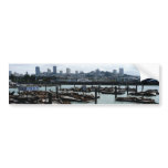 San Francisco and Pier 39 Sea Lions City Skyline Bumper Sticker
