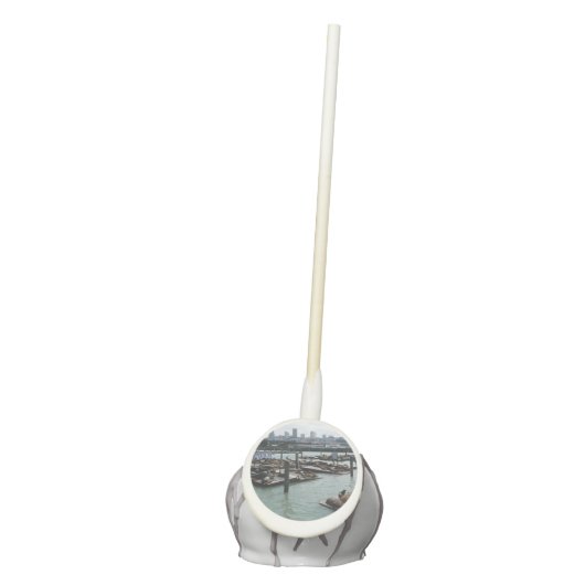 San Francisco and Pier 39 Sea Lions City Skyline Cake Pops (Front)