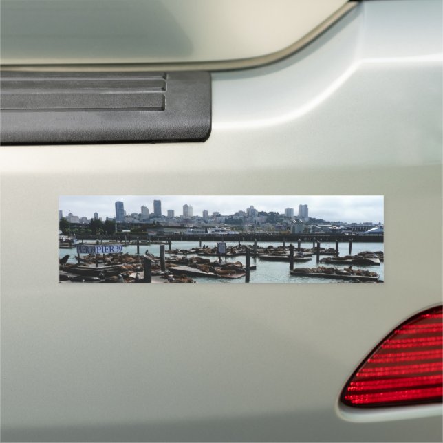 San Francisco and Pier 39 Sea Lions City Skyline Car Magnet (In Situ)