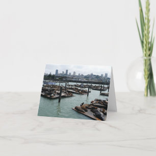 San Francisco and Pier 39 Sea Lions City Skyline Card
