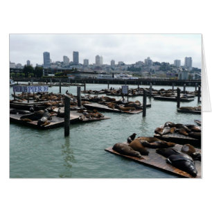 San Francisco and Pier 39 Sea Lions City Skyline Card