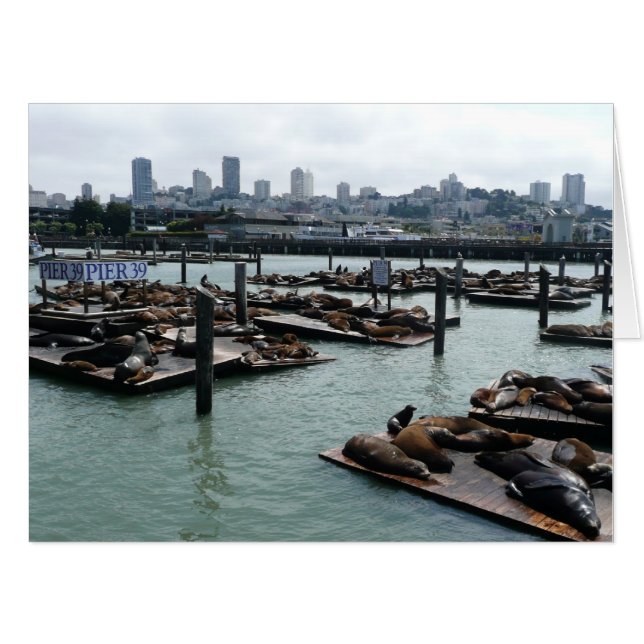 San Francisco and Pier 39 Sea Lions City Skyline Card (Front Horizontal)