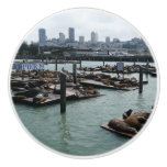 San Francisco and Pier 39 Sea Lions City Skyline Ceramic Knob