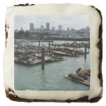 San Francisco and Pier 39 Sea Lions City Skyline Chocolate Brownie