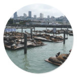 San Francisco and Pier 39 Sea Lions City Skyline Classic Round Sticker