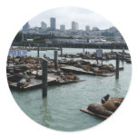 San Francisco and Pier 39 Sea Lions City Skyline Classic Round Sticker
