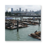 San Francisco and Pier 39 Sea Lions City Skyline Favor Tags