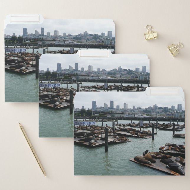 San Francisco and Pier 39 Sea Lions City Skyline File Folder (Set)