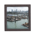 San Francisco and Pier 39 Sea Lions City Skyline Gift Box