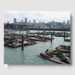 San Francisco and Pier 39 Sea Lions City Skyline Guest Book