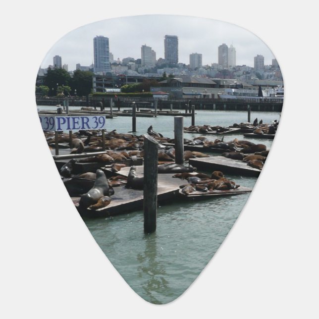 San Francisco and Pier 39 Sea Lions City Skyline Guitar Pick (Front)