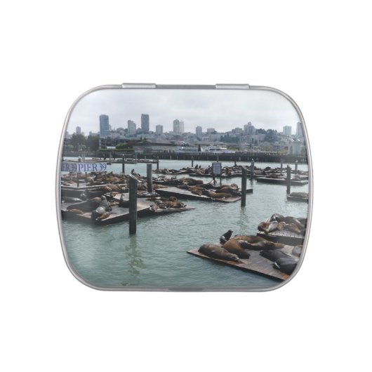 San Francisco and Pier 39 Sea Lions City Skyline Jelly Belly Tin (Top)