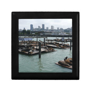 San Francisco and Pier 39 Sea Lions City Skyline Jewelry Box