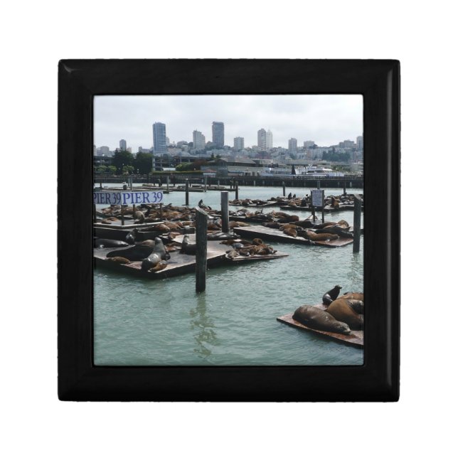 San Francisco and Pier 39 Sea Lions City Skyline Jewelry Box (Front)