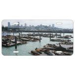 San Francisco and Pier 39 Sea Lions City Skyline License Plate