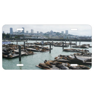 San Francisco and Pier 39 Sea Lions City Skyline License Plate