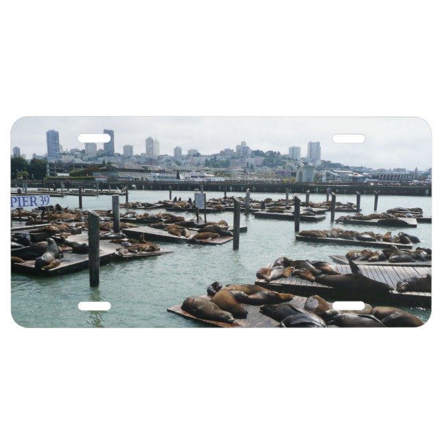 San Francisco and Pier 39 Sea Lions City Skyline License Plate (Front)