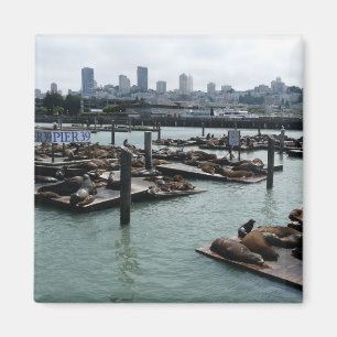 San Francisco and Pier 39 Sea Lions City Skyline Magnet