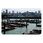 San Francisco and Pier 39 Sea Lions City Skyline Magnet
