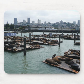 San Francisco and Pier 39 Sea Lions City Skyline Mouse Pad