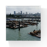 San Francisco and Pier 39 Sea Lions City Skyline Paperweight