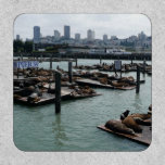 San Francisco and Pier 39 Sea Lions City Skyline Patch