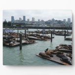 San Francisco and Pier 39 Sea Lions City Skyline Plaque