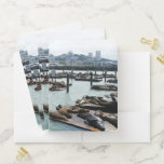 San Francisco and Pier 39 Sea Lions City Skyline Pocket Folder