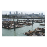 San Francisco and Pier 39 Sea Lions City Skyline Rectangular Sticker