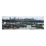 San Francisco and Pier 39 Sea Lions City Skyline Ruler