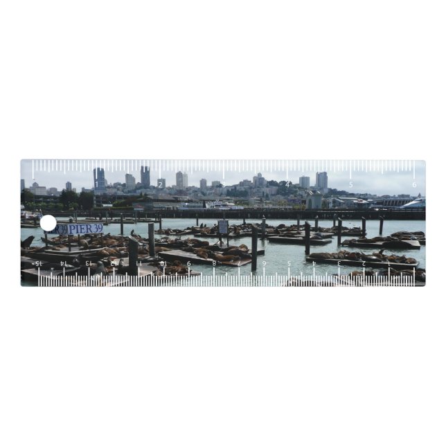 San Francisco and Pier 39 Sea Lions City Skyline Ruler (Front)