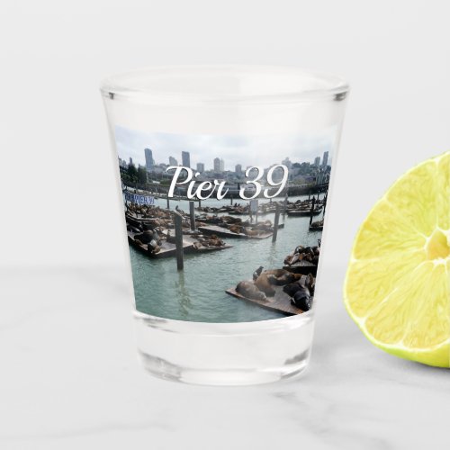 San Francisco and Pier 39 Sea Lions City Skyline Shot Glass