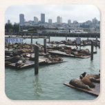San Francisco and Pier 39 Sea Lions City Skyline Square Paper Coaster