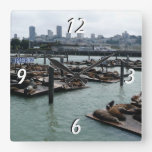 San Francisco and Pier 39 Sea Lions City Skyline Square Wall Clock