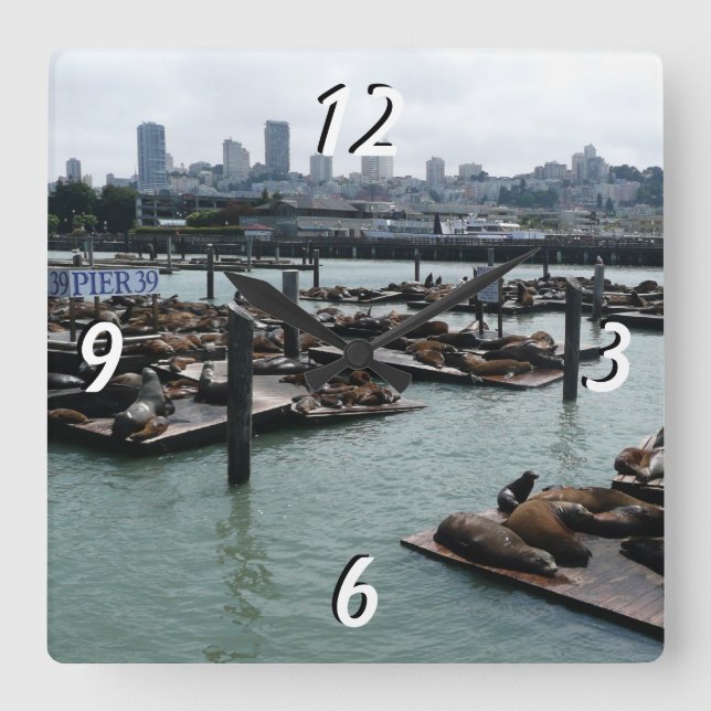San Francisco and Pier 39 Sea Lions City Skyline Square Wall Clock (Front)
