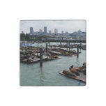 San Francisco and Pier 39 Sea Lions City Skyline Stone Magnet