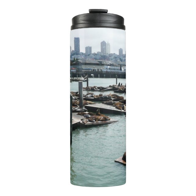 San Francisco and Pier 39 Sea Lions City Skyline Thermal Tumbler (Front)