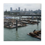 San Francisco and Pier 39 Sea Lions City Skyline Tile