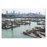 San Francisco and Pier 39 Sea Lions City Skyline Tissue Paper