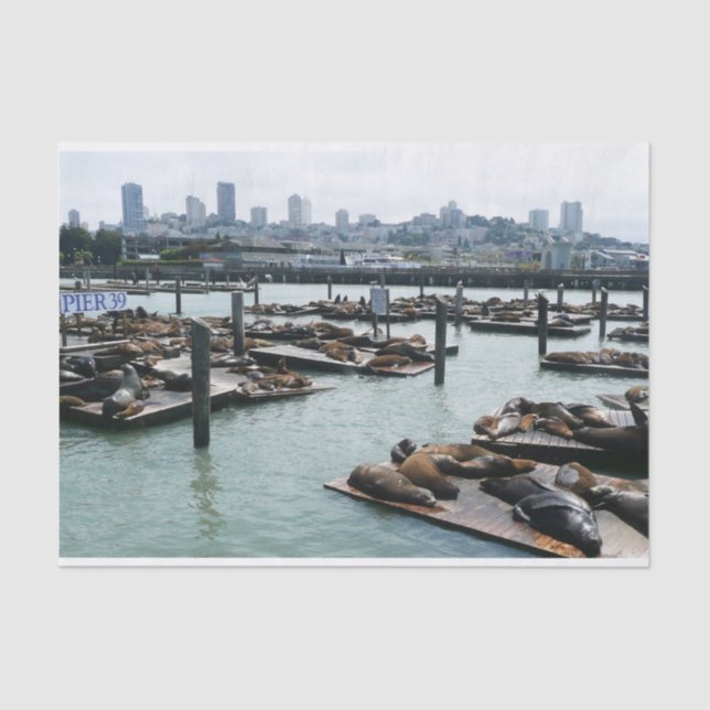 San Francisco and Pier 39 Sea Lions City Skyline Tissue Paper (Front)