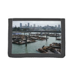 San Francisco and Pier 39 Sea Lions City Skyline Trifold Wallet